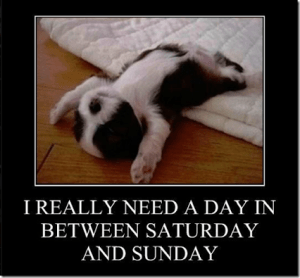 Extra+Day_740c60_4837201