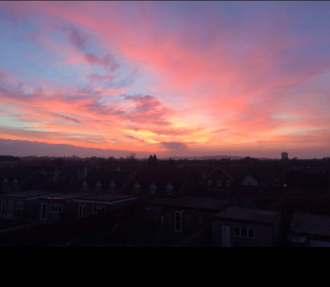 E4446AA9-4BCD-4D87-98A5-03270EDBD4D1